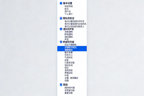 Telegram设置菜单汉化后的详细选项展示